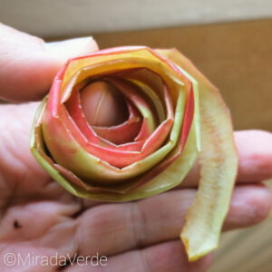 Apfelschalen Rosen formen Tee diy