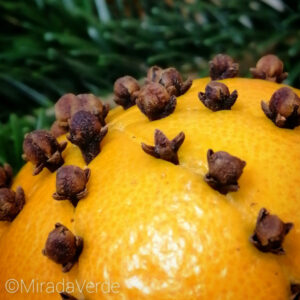 Orange mit Nelke gespickt nah