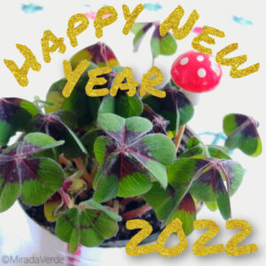 Happy New Year 2022 mit Glücksklee