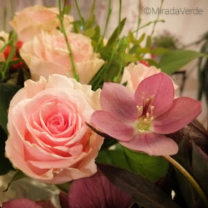 Rose & Schneerose im Blumenstrauß