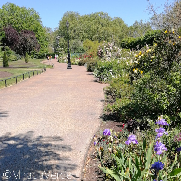 Rosengarten, Hyde Park, London
