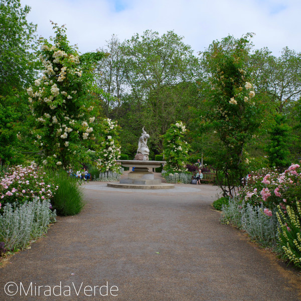 Rosengarten im Hyde Park, London