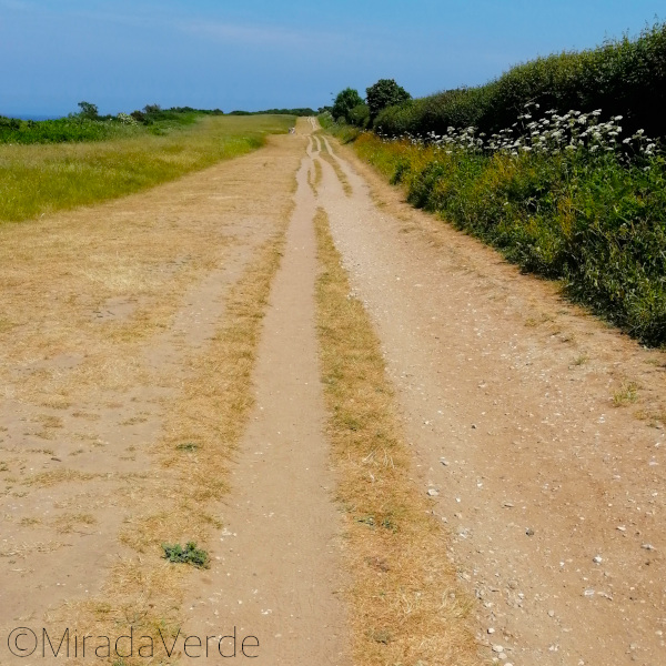SW Coast Path, Studland. Isle of Purbeck, Dorset, England