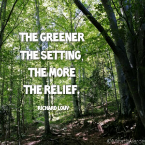 green setting, relief. quote of the week.