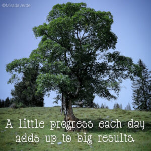 A little progress each day adds up to big results