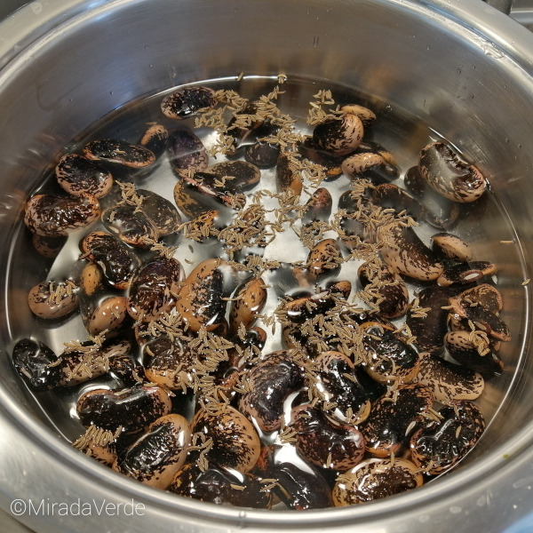 Käferbohnen mit Kümmel kochen