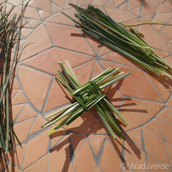 Saint Brigid's Cross. Grass