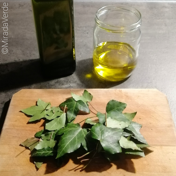 Efeublätter Küchenbrett Olivenöl