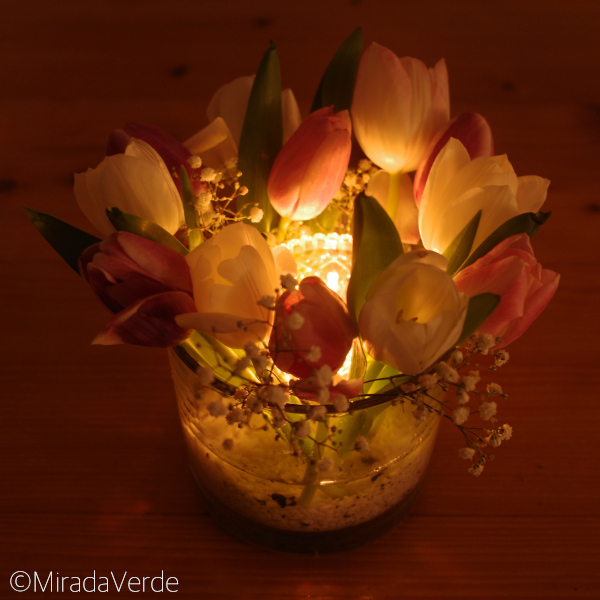 DIY Tulpenwindlicht leuchtet