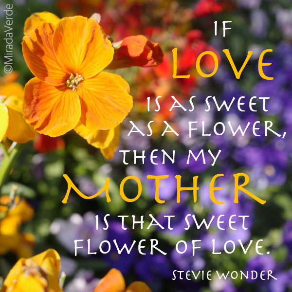 Süße Blume der Liebe. Muttertag