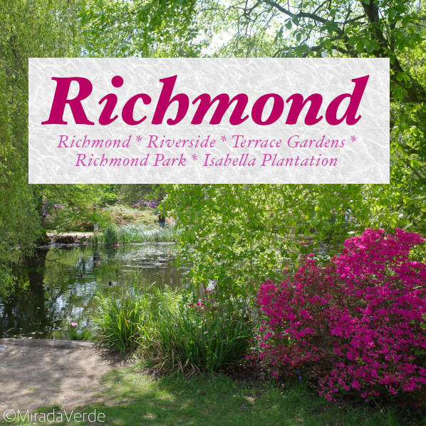Richmond Park & Isabella Plantation