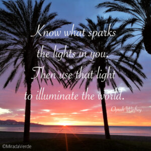 "Know what sparks the lights in you. Then use that light to illuminate the world." Oprah Winfrey. Quote. Zitat. Beach. Sunrise. Palms