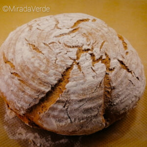 Brot frisch gebacken