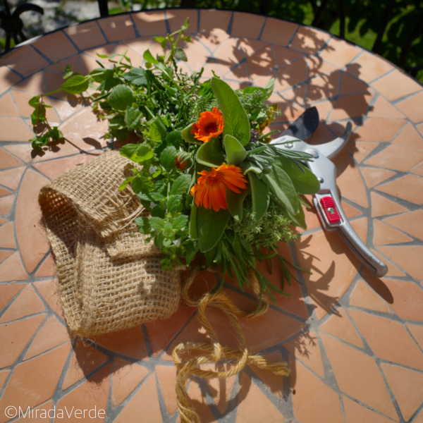 Kräuter Pflanzen Gartenschere Juteband Kräuterbuschen Maria Himmelfahrt