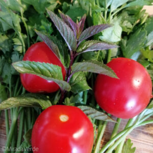 Tomaten, Pfefferminze, Petersilie für Tabouleh