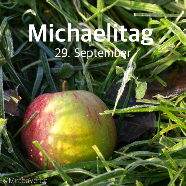 Michaelitag Apfel Wiese Fallobst