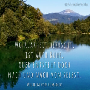 Wald Wasser Berg blau Ruhe Klarheit