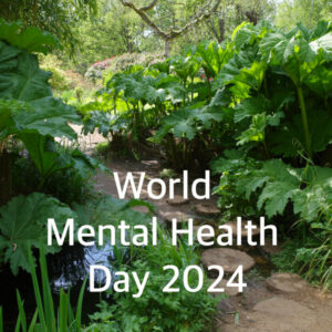 World Mental Health Day 2024