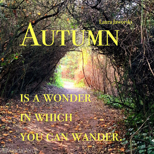 Autumn is a wonder in which you can wander. Laura Jaworski