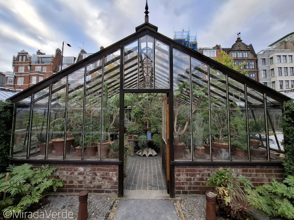 Historisches Glashaus im Chelsea Physic Garden, London