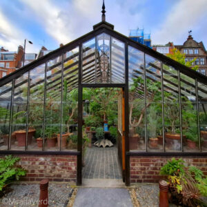 Chelsea Physic Garden, Historisches Glashaus