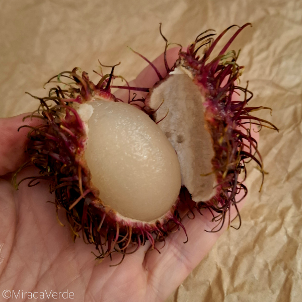 Rambutan