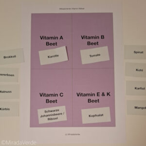 Vitaminrätsel Lösung 1