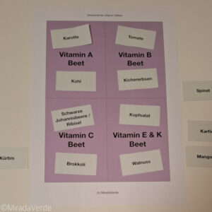 Vitaminrätsel Lösung 2