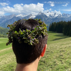 Gundelrebenkranz im Haar