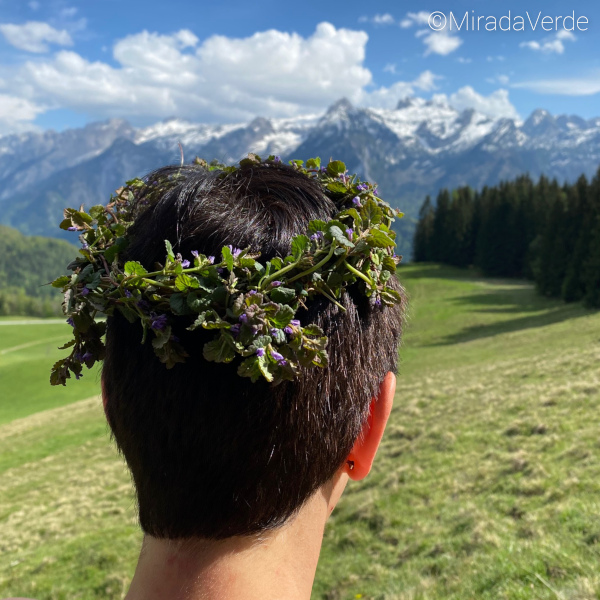 Gundelrebenkranz im Haar
