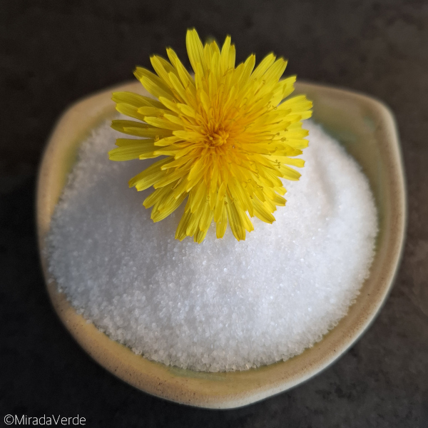 Löwenzahnblüte und Feinkristallzucker