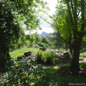 Botanischer Garten Salzburg. Untersberg