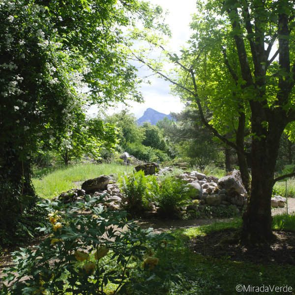 Botanischer Garten Salzburg. Untersberg