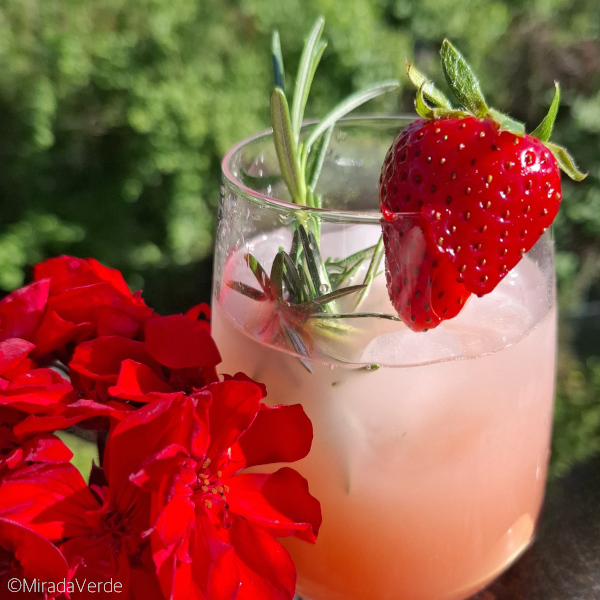 Erdbeer-Rhabarber-Saft mit Rosmarin und Erdbeere