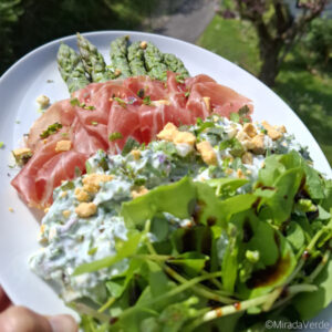 Grüner Spargel mit Prosciutto, Wildkräuterjoghurt und Portulak