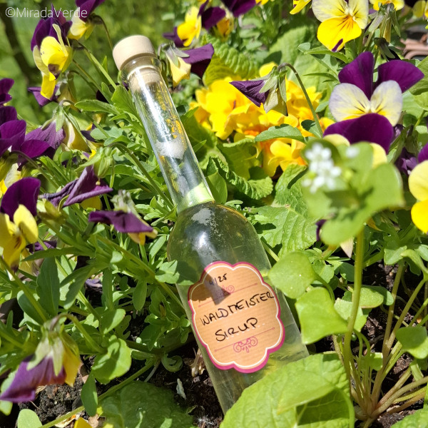 Waldmeistersirup abgefüllt in Flasche als Geschenk