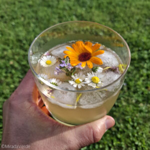 Ertränkte Blumenwiese. Alkoholfreies Getränk. Apfelsaft mit Wildkräutern
