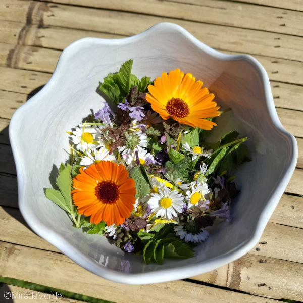Wildkräuter und Blüten gesammelt