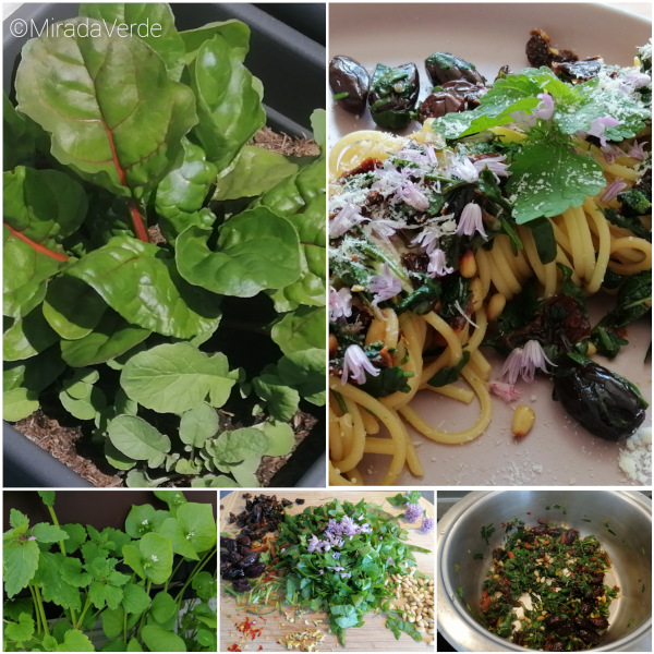 Balkonspaghetti. Spaghetti, Pasta, Zwiebelblüte, Mangold, Pinienkerne