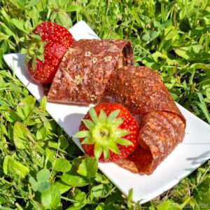 Erdbeerfruchtleder mit Holunder- und Rosenblüten in Streifen geschnitten mit Erdbeeren in Wiese