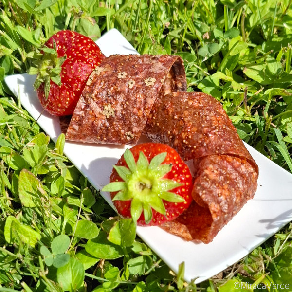 Erdbeerfruchtleder mit Holunder- und Rosenblüten in Streifen geschnitten mit Erdbeeren in Wiese