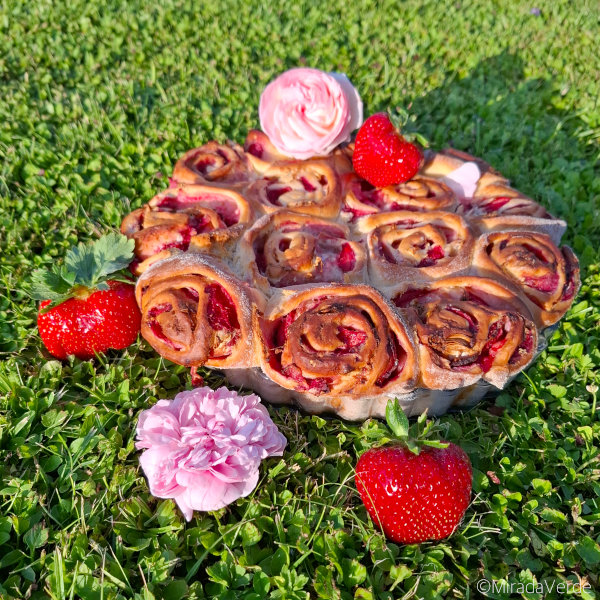 Erdbeer Rosen Holunder Schnecken mit Rosen und Erdbeeren in der Wiese