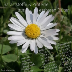 Gänseblümchen. Ballaststoffe & Proteine aus essbaren Blüten.