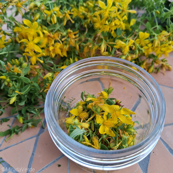 Johanniskrautblüten im Glas