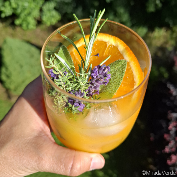 Squeeze me up. Frisch gepresster Orangensaft mit frischem Kräuterbouquet
