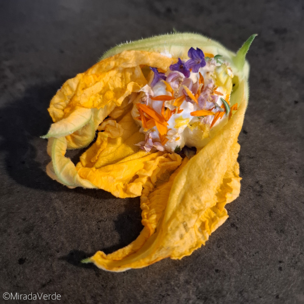 Mit Topfen und essbaren Blüten gefüllte Zucchiniblüte