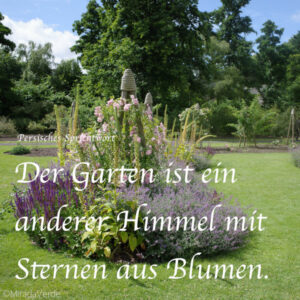 Cambridge University Botanic Garden. Spruch
