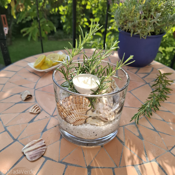 Ministrand aus weißem Sand, Rosmarin, Zitronen und Muscheln mit Kerze
