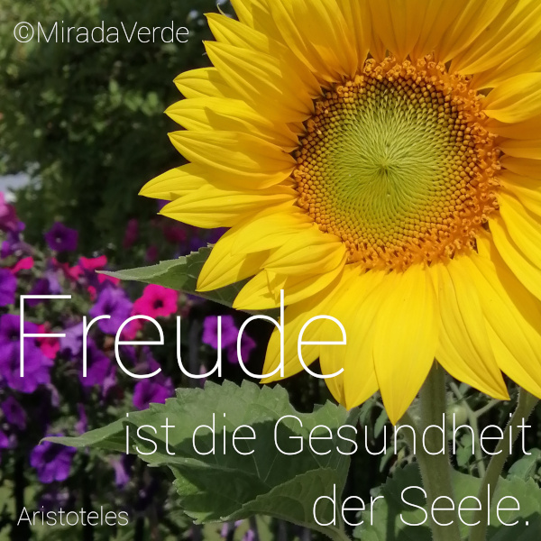Sonnenblume. Freude. Gesundheit. Zitat