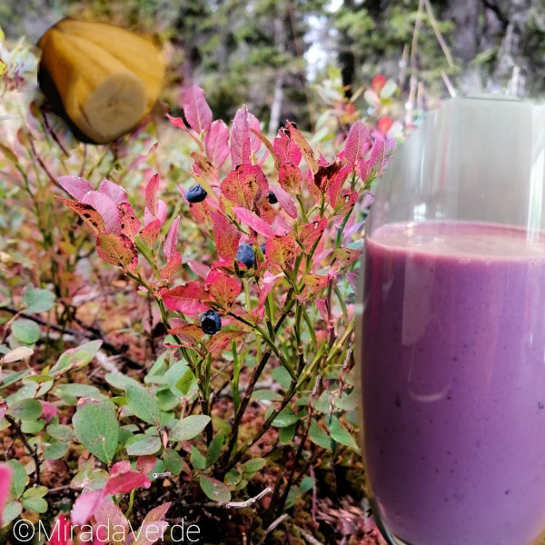 Wilde Heidelbeere, Banane, Bananen-Schwarzbeermilch